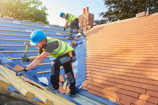 Best Skylight Installation and Repair  in Mcdade, TX